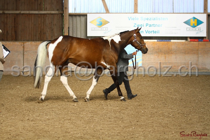 23-APHA SS_033.jpg